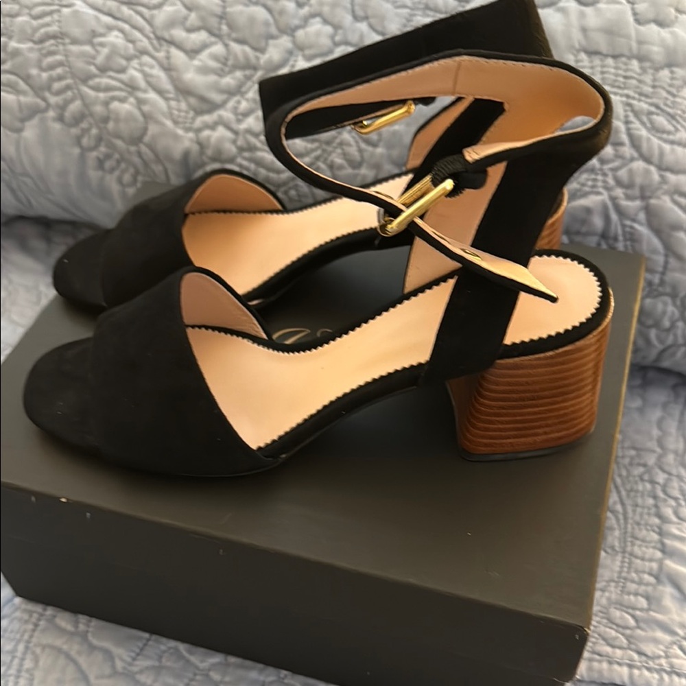 J. Crew  Black Chunky Heel Ankle-Strap Shoes